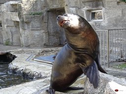 Tiergarten Schönbrunn am 23.03.2023